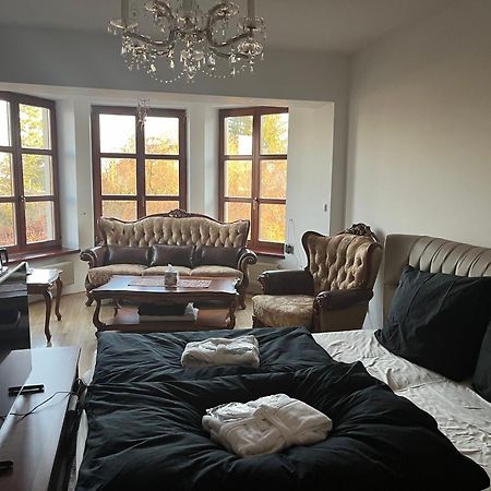 Dogs Resort And Spa Horni Bezdekov Zewnętrze zdjęcie