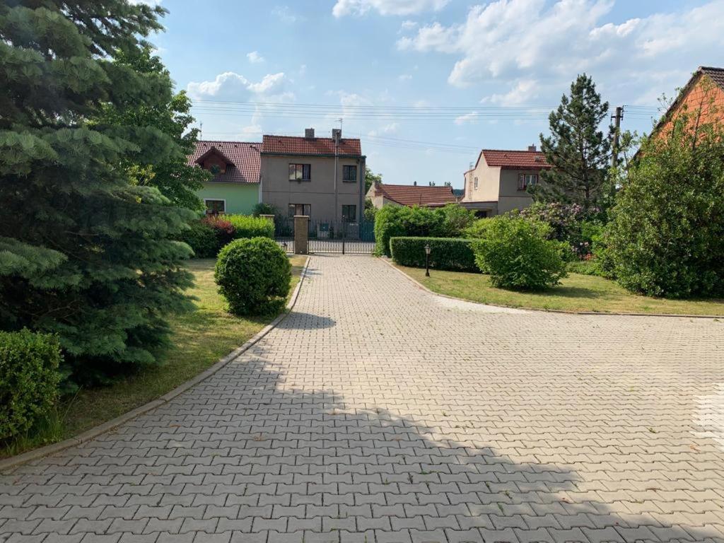 Dogs Resort And Spa Horni Bezdekov Zewnętrze zdjęcie