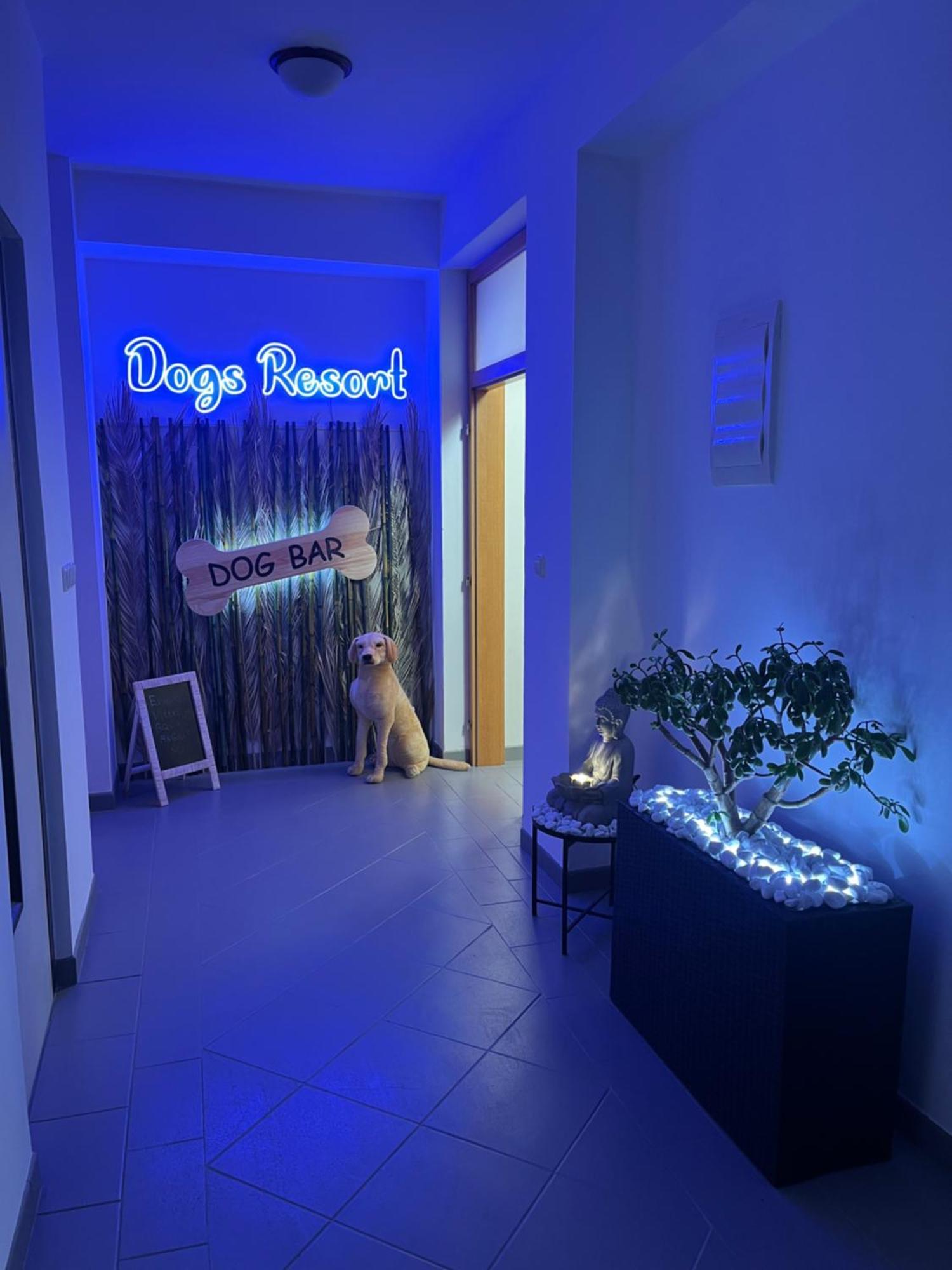 Dogs Resort And Spa Horni Bezdekov Zewnętrze zdjęcie